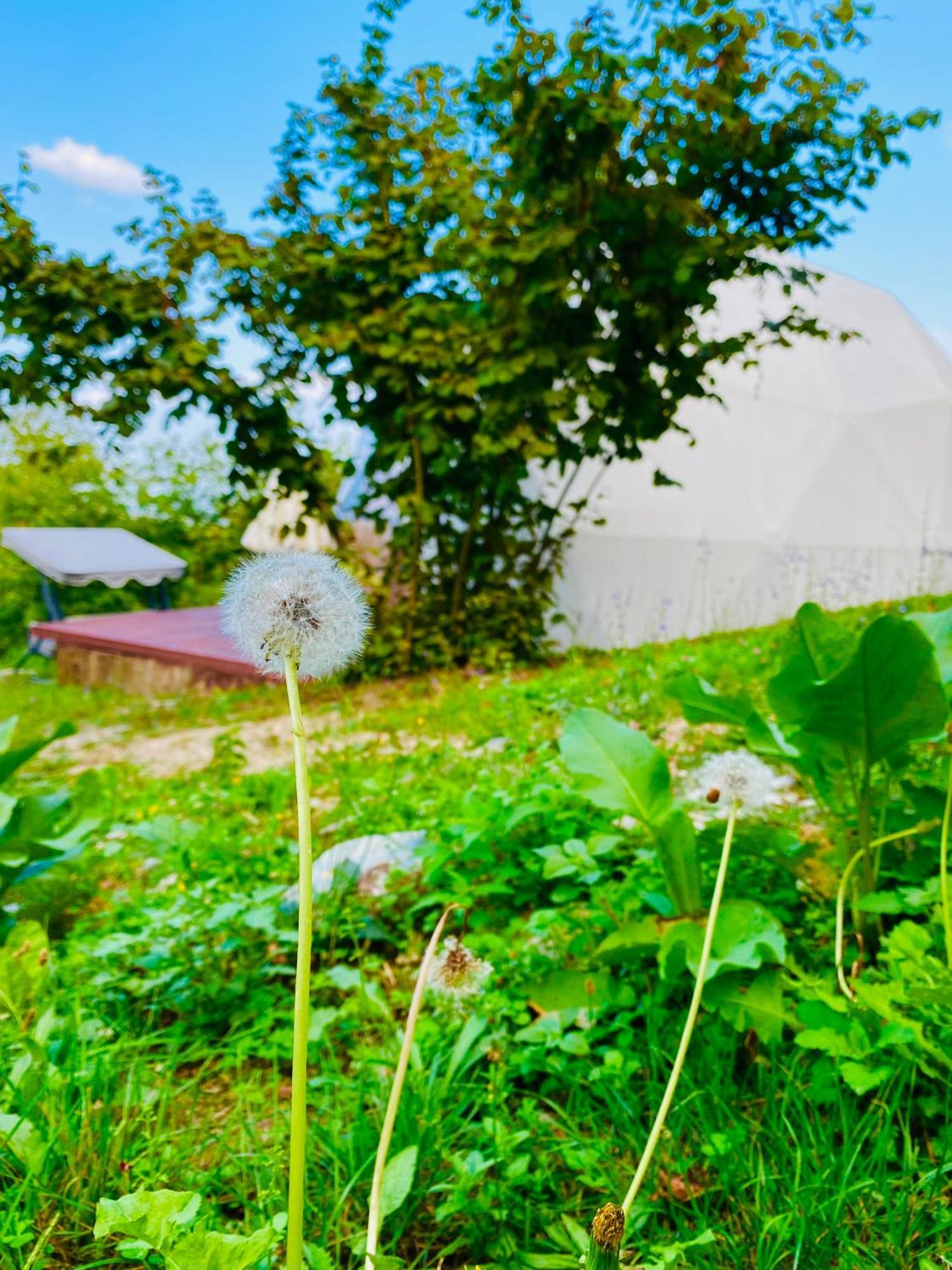 Phalesia Glamping Otel Sapanca Exterior photo